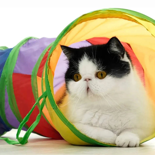 Tunnel Pieghevole per Gatti – Tubo Giocattolo Frangente per Gatti e Gattini