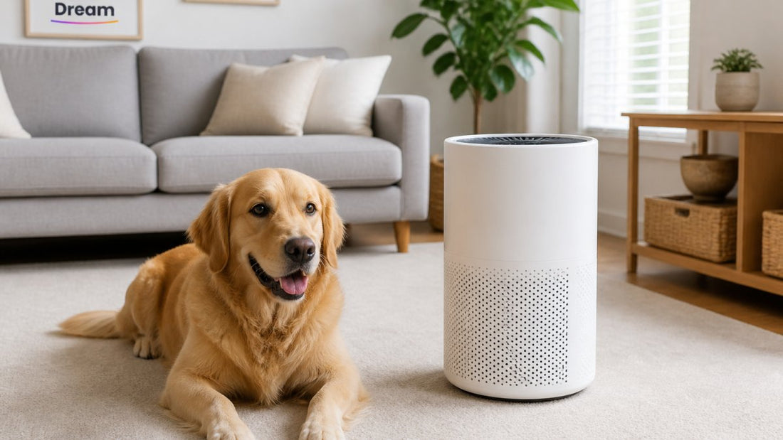 7 Best Budget-Friendly Air Purifiers for Pet Owners