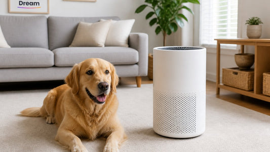 7 Best Budget-Friendly Air Purifiers for Pet Owners