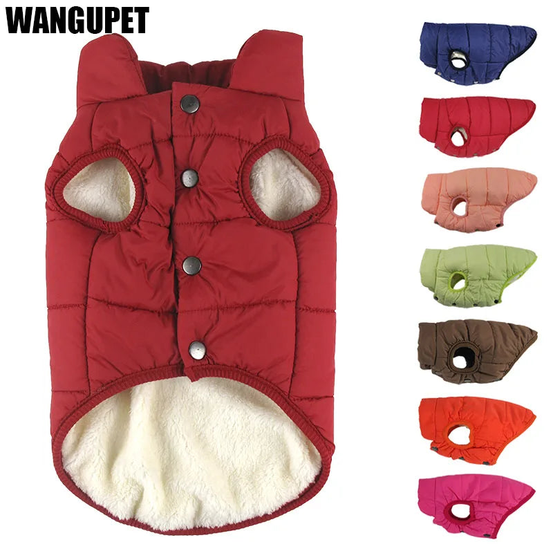 Warm Cotton-Padded Winter Dog Coat – Pet Jacket for Small to Large Dogs
