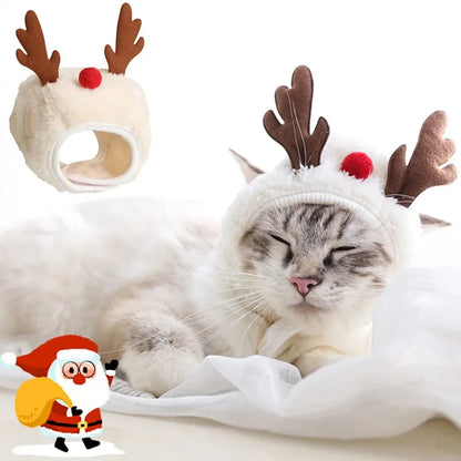 Set costume natalizio per animali – Cappello da Babbo Natale o da renna con sciarpa per gatti e cani di piccola taglia