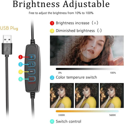 Panel de luz de relleno LED de 8 pulgadas – Luz de video USB bicolor con filtros de color