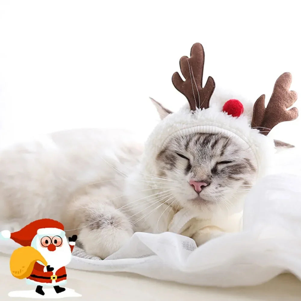 Christmas Pet Costume Set – Santa or Reindeer Hat with Scarf for Cats & Small Dogs