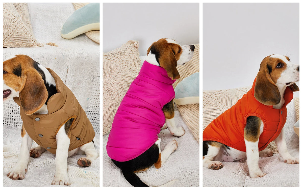 Warm Cotton-Padded Winter Dog Coat – Pet Jacket for Small to Large Dogs