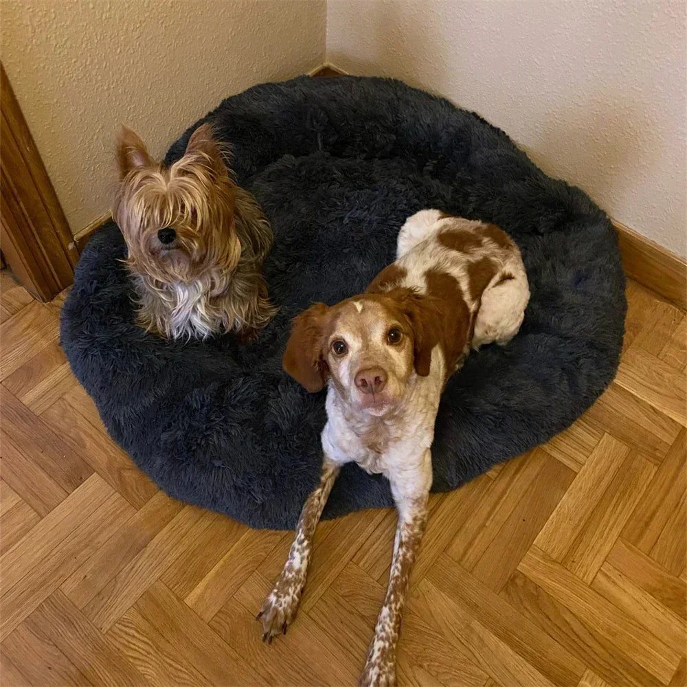 Super Soft Dog Bed Plush Cat Mat Dog Beds For Large Dogs Bed Labradors House Round Cushion Pet Product Accessories