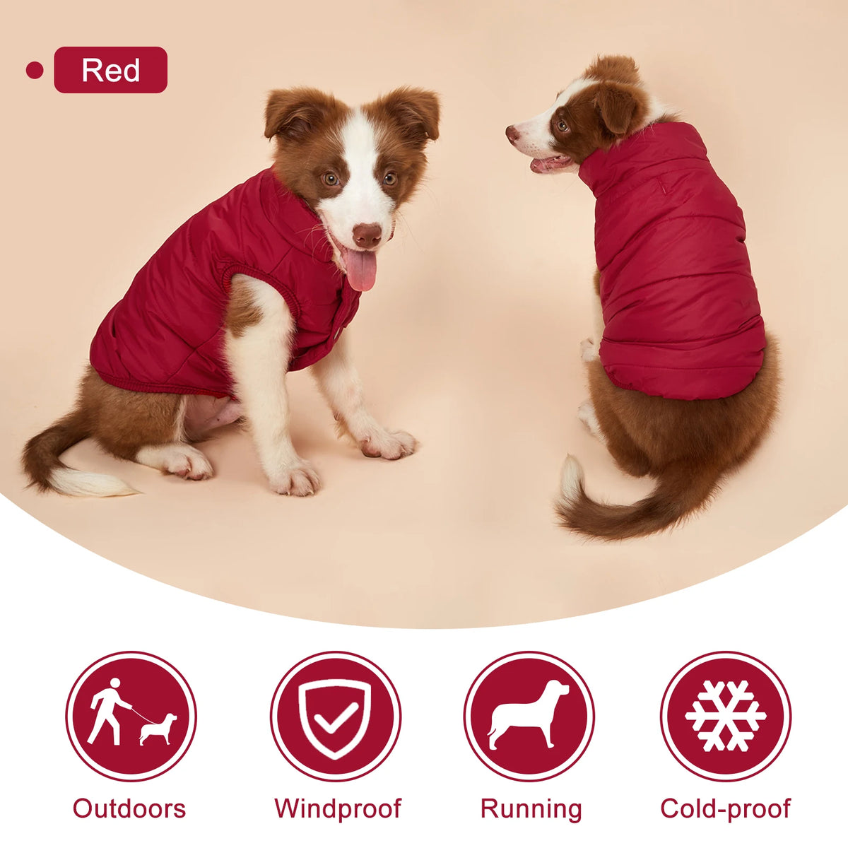 Warm Cotton-Padded Winter Dog Coat – Pet Jacket for Small to Large Dogs