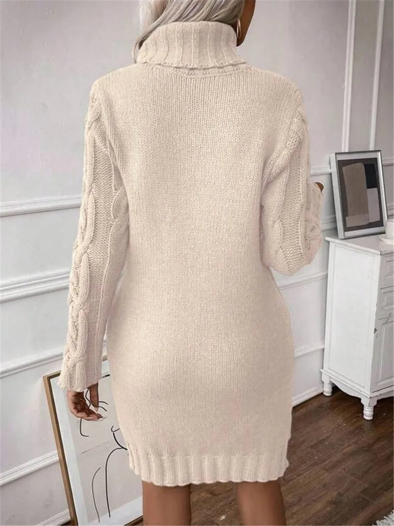 Women's Twisted-Knit Turtleneck Knee-Length Dress