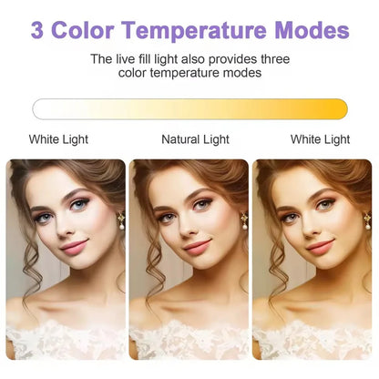 Pannello luminoso LED bicolore da 11 pollici – Luce di riempimento regolabile per fotografia