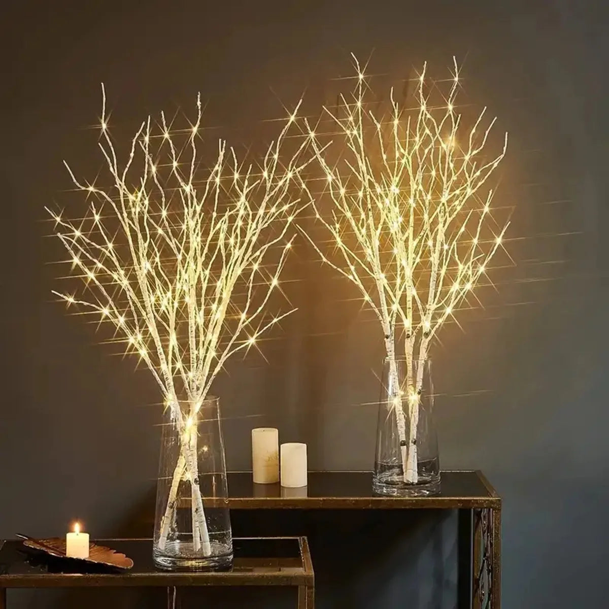 Lighted White Birch Branch – 20 LED Battery Fairy Light Decor
