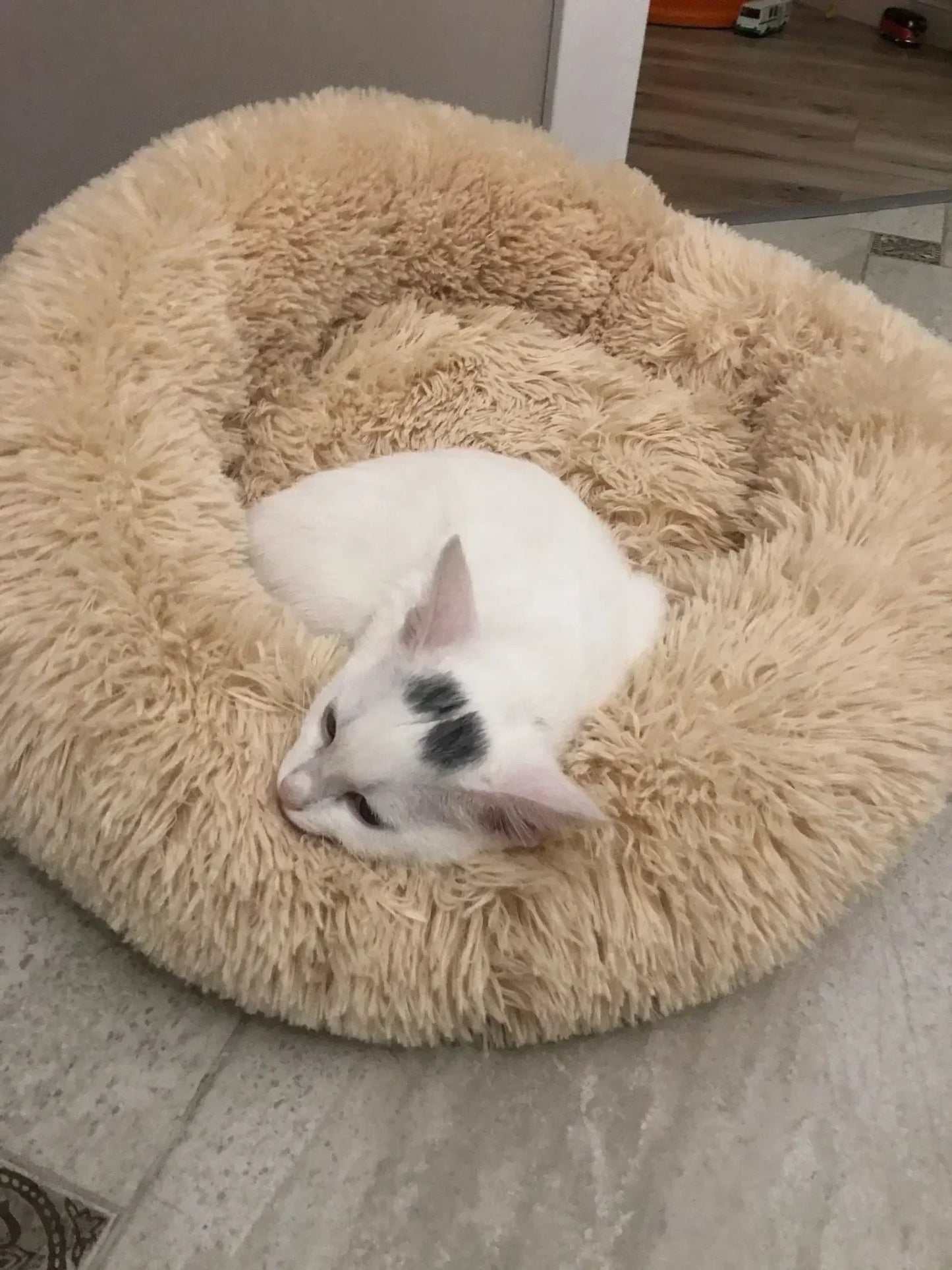 Super Soft Dog Bed Plush Cat Mat Dog Beds For Large Dogs Bed Labradors House Round Cushion Pet Product Accessories