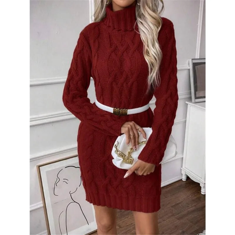 Women's Twisted-Knit Turtleneck Knee-Length Dress