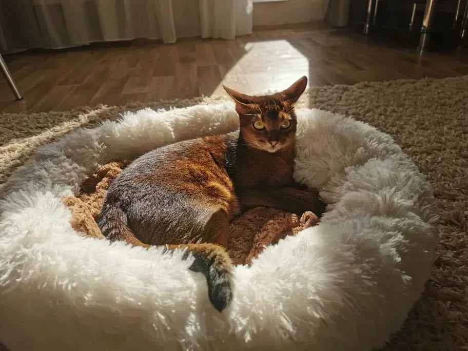 Super Soft Dog Bed Plush Cat Mat Dog Beds For Large Dogs Bed Labradors House Round Cushion Pet Product Accessories