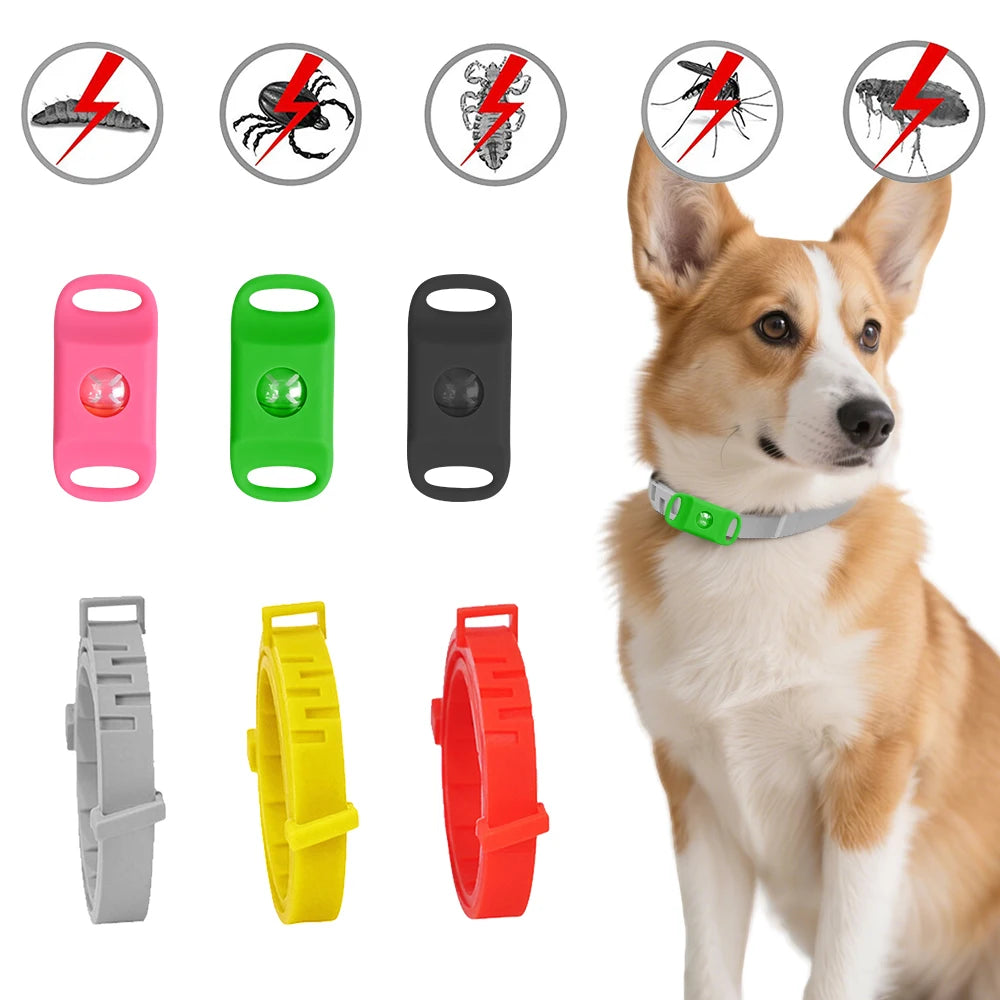 Dog Nail Grinder USB Rechargeable Electric Pet Claw Trimmer – Painless, Low Noise, 2-Speed
