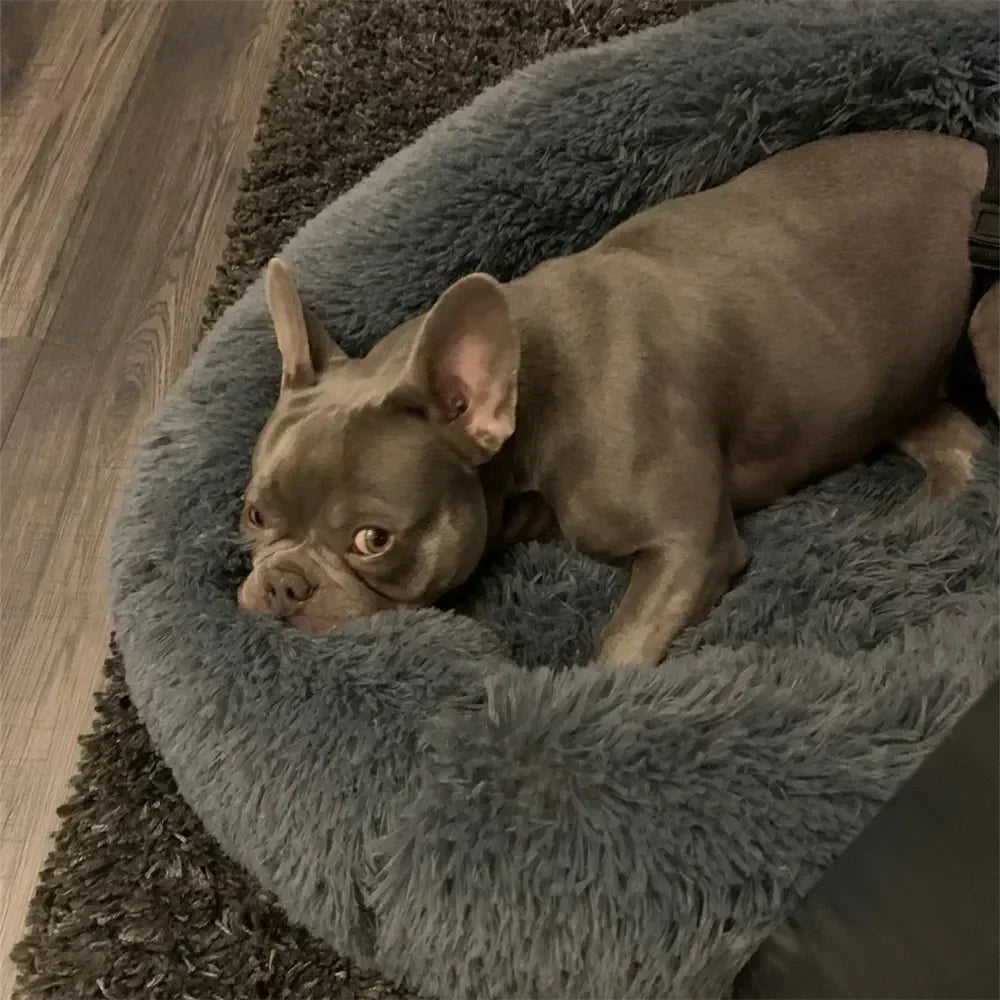 Super Soft Dog Bed Plush Cat Mat Dog Beds For Large Dogs Bed Labradors House Round Cushion Pet Product Accessories