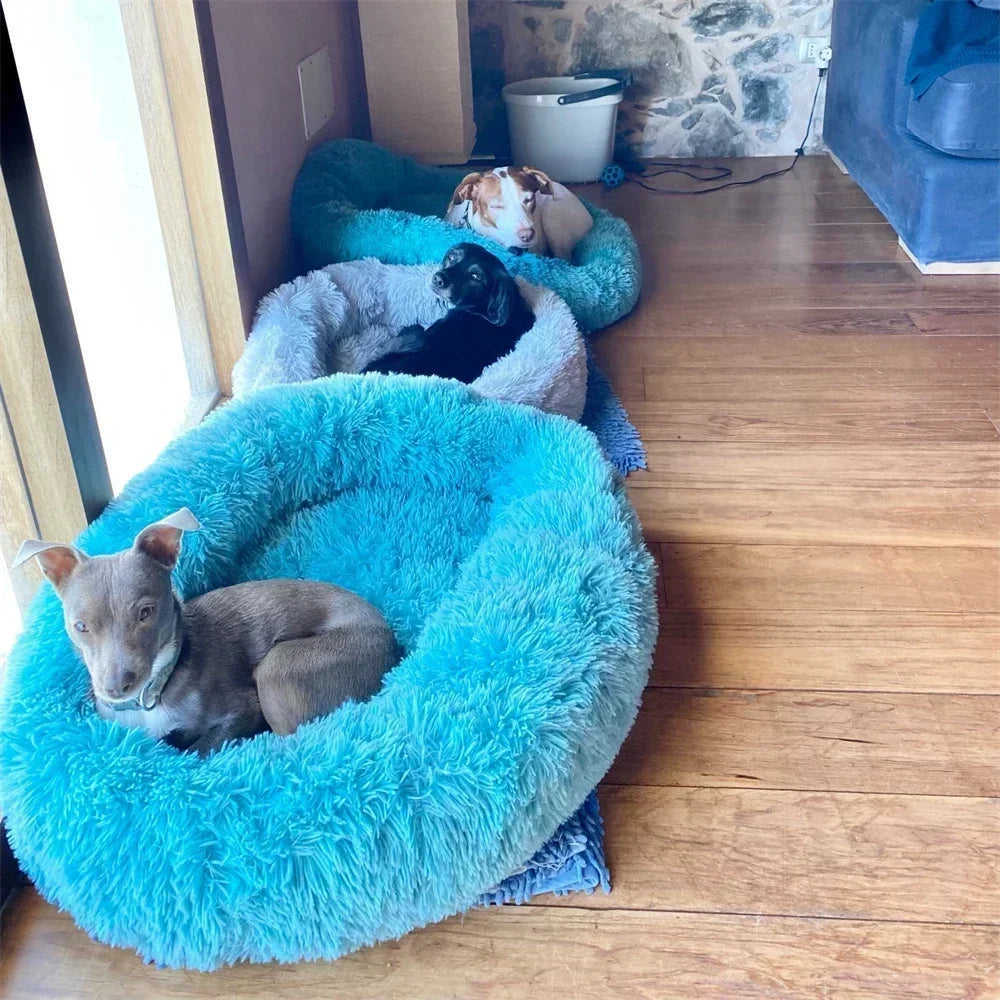 Super Soft Dog Bed Plush Cat Mat Dog Beds For Large Dogs Bed Labradors House Round Cushion Pet Product Accessories
