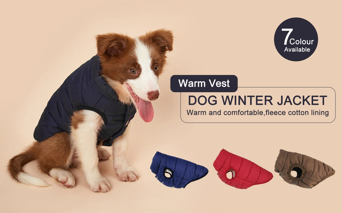 Warm Cotton-Padded Winter Dog Coat – Pet Jacket for Small to Large Dogs