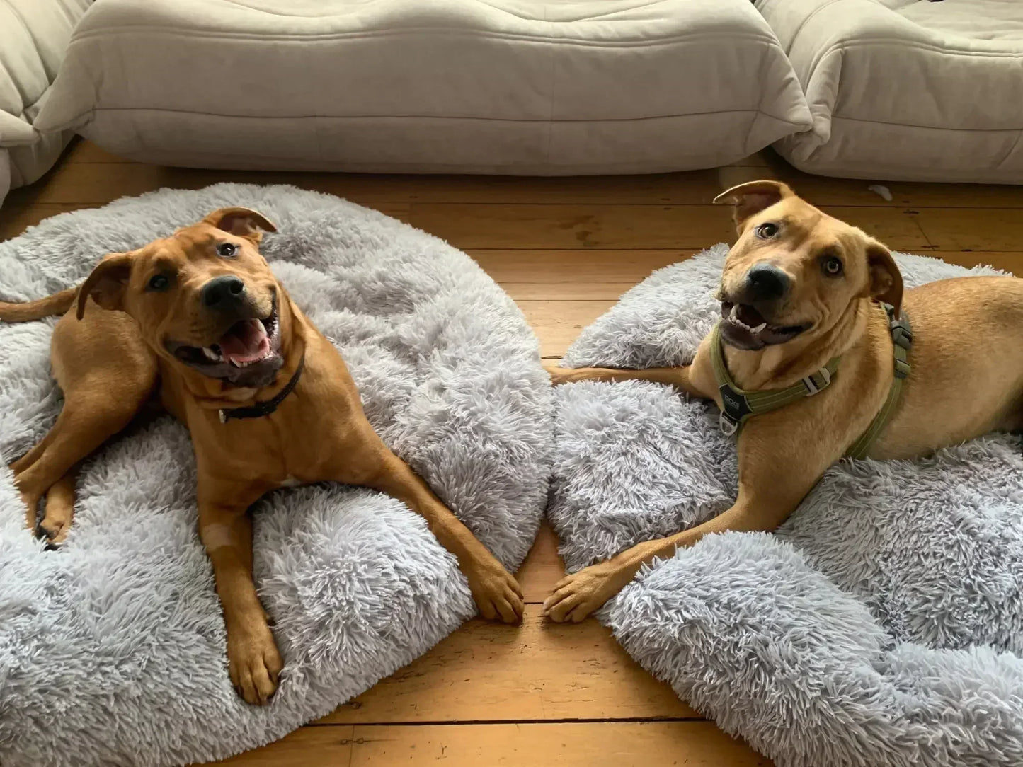 Super Soft Dog Bed Plush Cat Mat Dog Beds For Large Dogs Bed Labradors House Round Cushion Pet Product Accessories