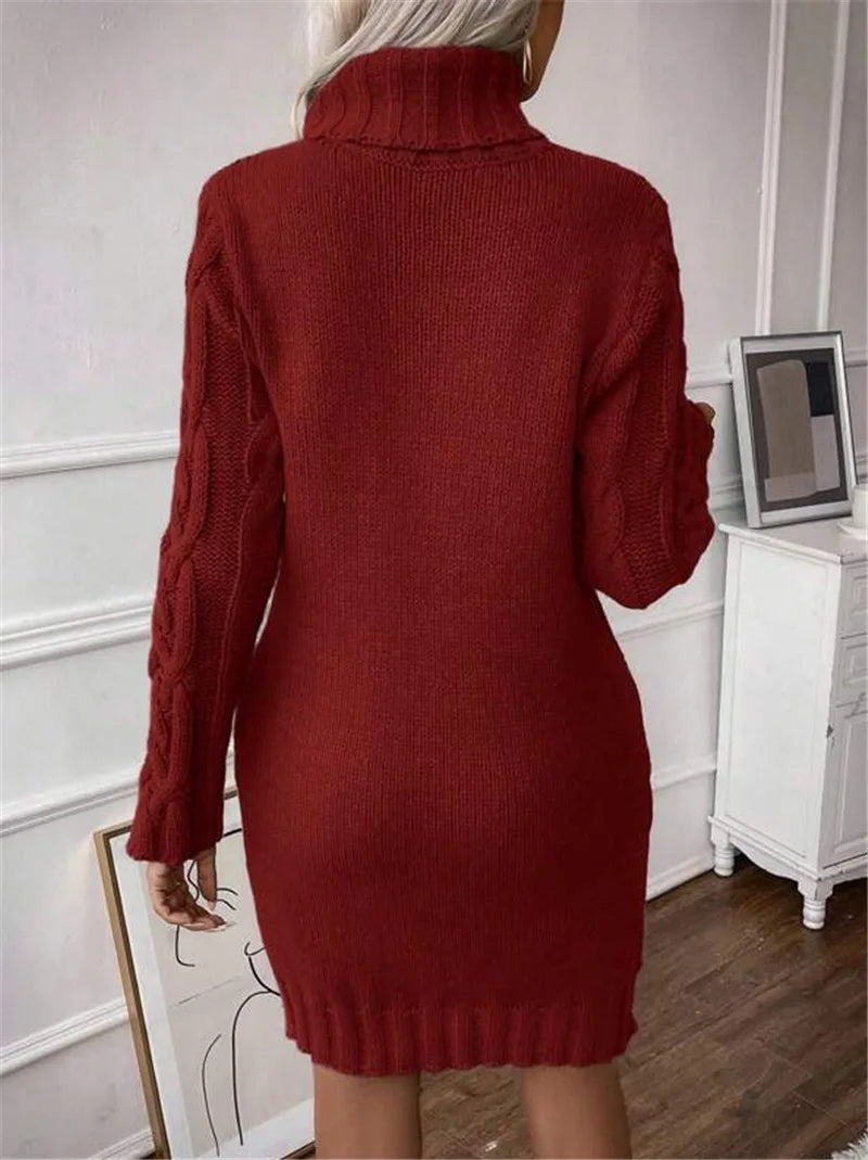 Women's Twisted-Knit Turtleneck Knee-Length Dress