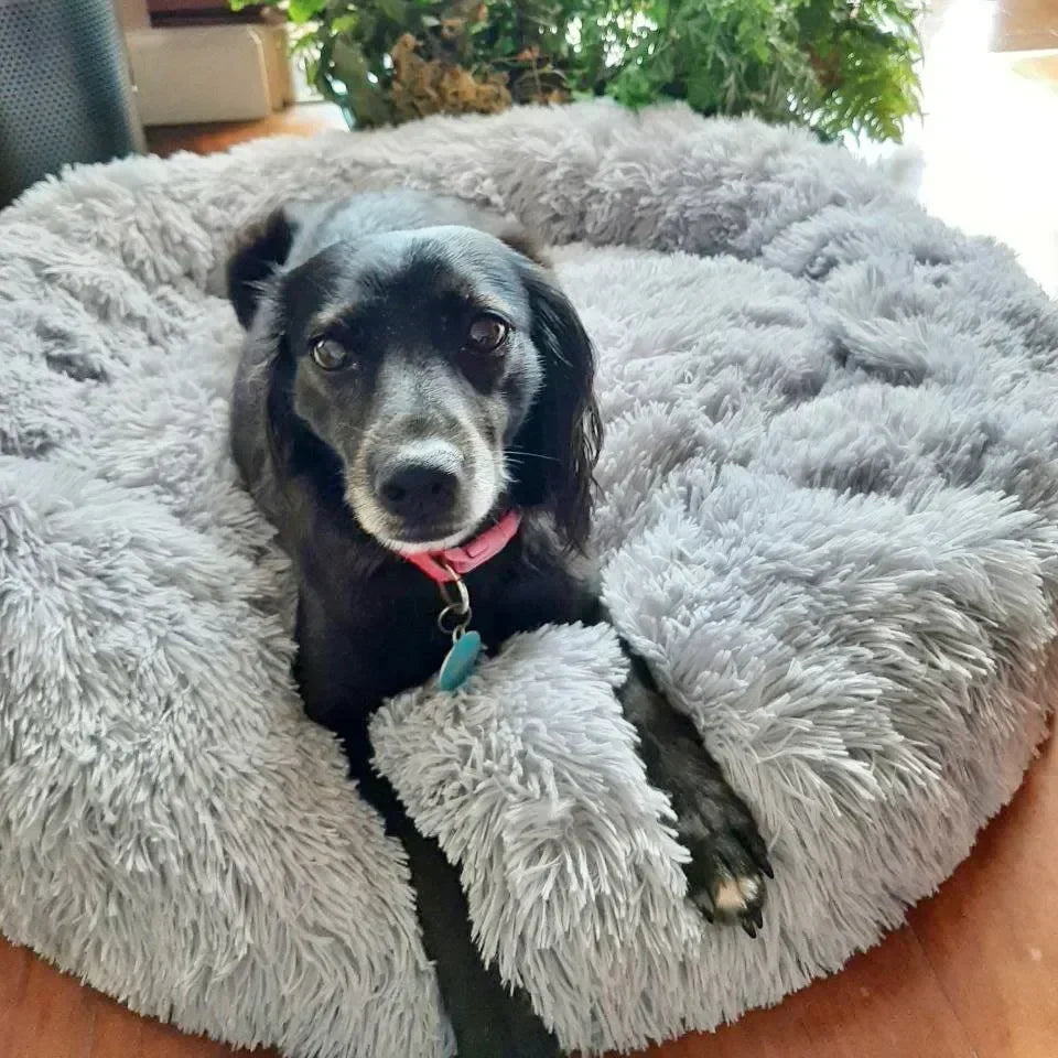 Super Soft Dog Bed Plush Cat Mat Dog Beds For Large Dogs Bed Labradors House Round Cushion Pet Product Accessories