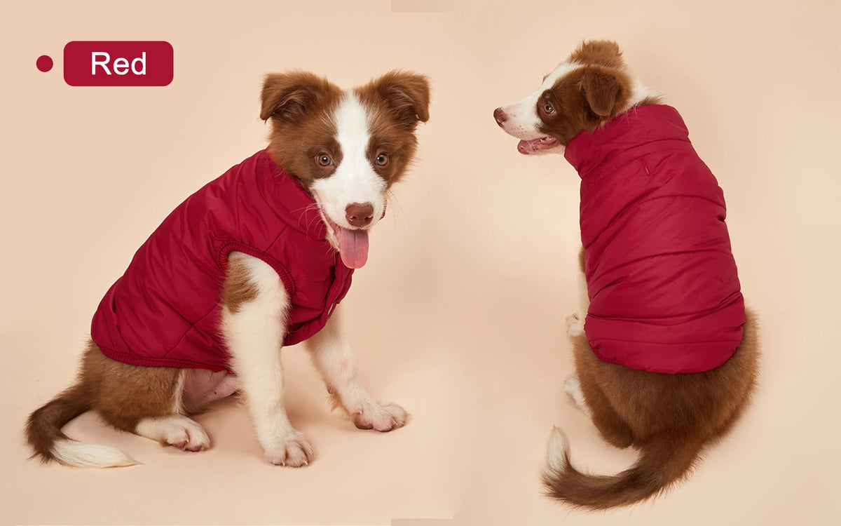 Warm Cotton-Padded Winter Dog Coat – Pet Jacket for Small to Large Dogs