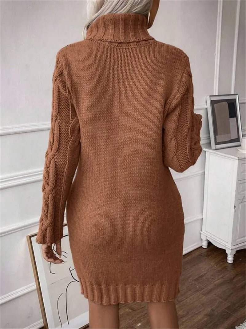 Women's Twisted-Knit Turtleneck Knee-Length Dress