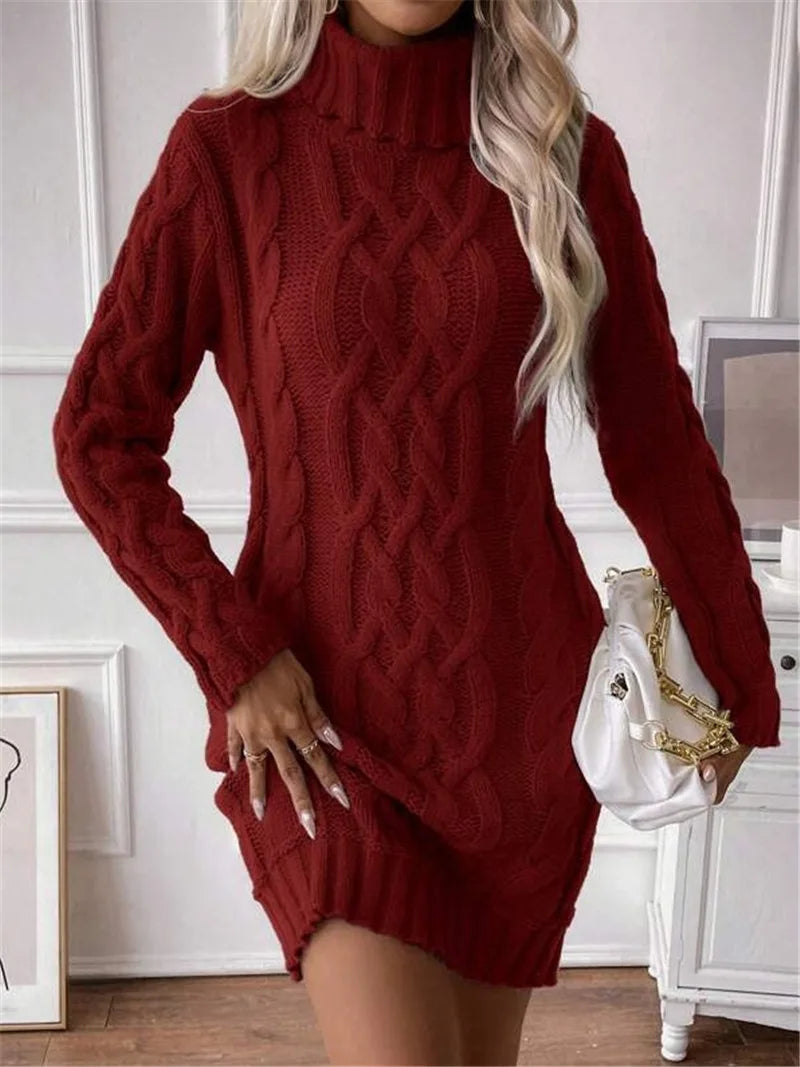 Women's Twisted-Knit Turtleneck Knee-Length Dress