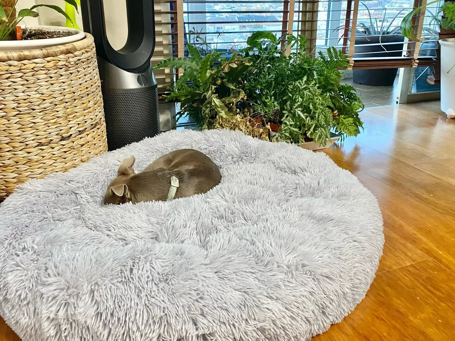 Super Soft Dog Bed Plush Cat Mat Dog Beds For Large Dogs Bed Labradors House Round Cushion Pet Product Accessories