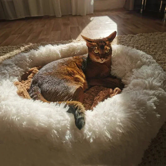 Super Soft Dog Bed Plush Cat Mat Dog Beds For Large Dogs Bed Labradors House Round Cushion Pet Product Accessories