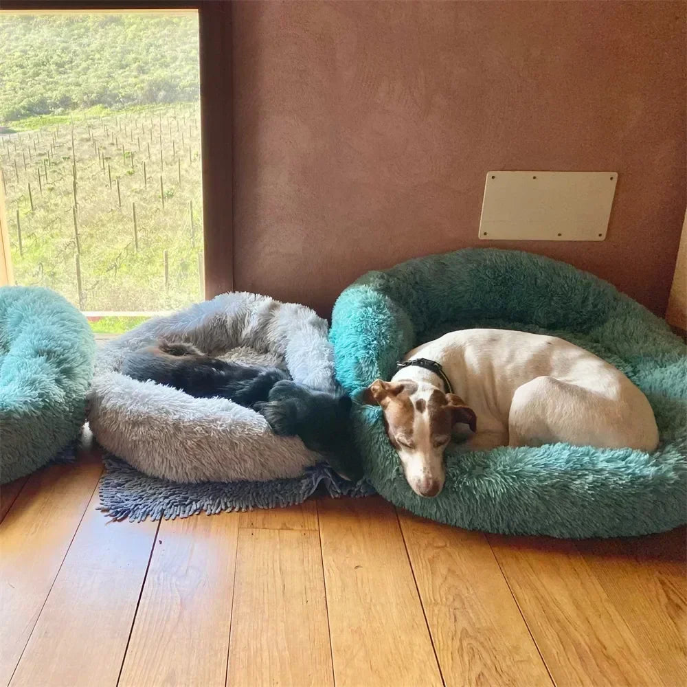 Super Soft Dog Bed Plush Cat Mat Dog Beds For Large Dogs Bed Labradors House Round Cushion Pet Product Accessories