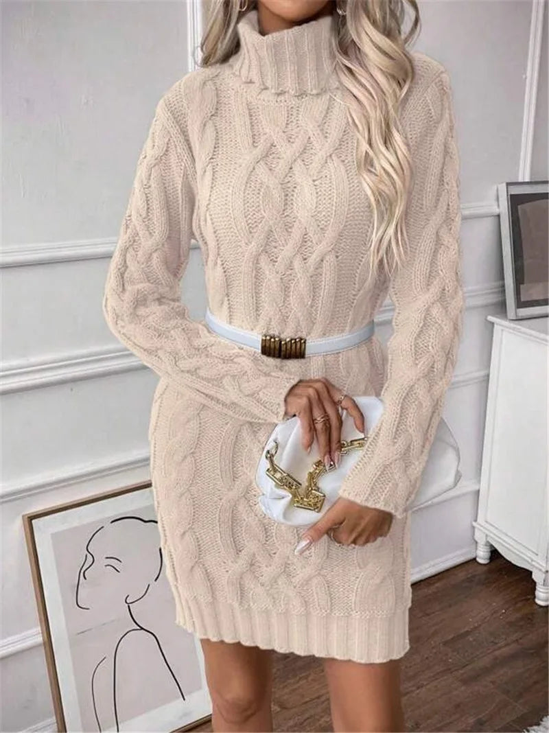 Women's Twisted-Knit Turtleneck Knee-Length Dress