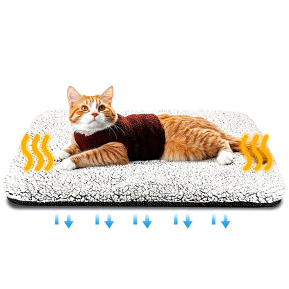 Tapis auto-chauffant pour animaux – Coussin thermique sans branchement pour chats et petits chiens, 60 × 48 cm