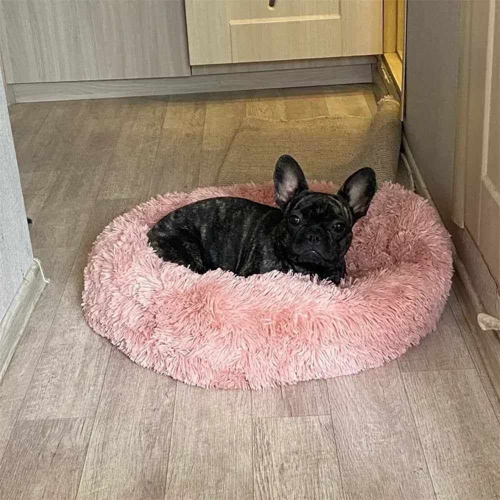 Super Soft Dog Bed Plush Cat Mat Dog Beds For Large Dogs Bed Labradors House Round Cushion Pet Product Accessories