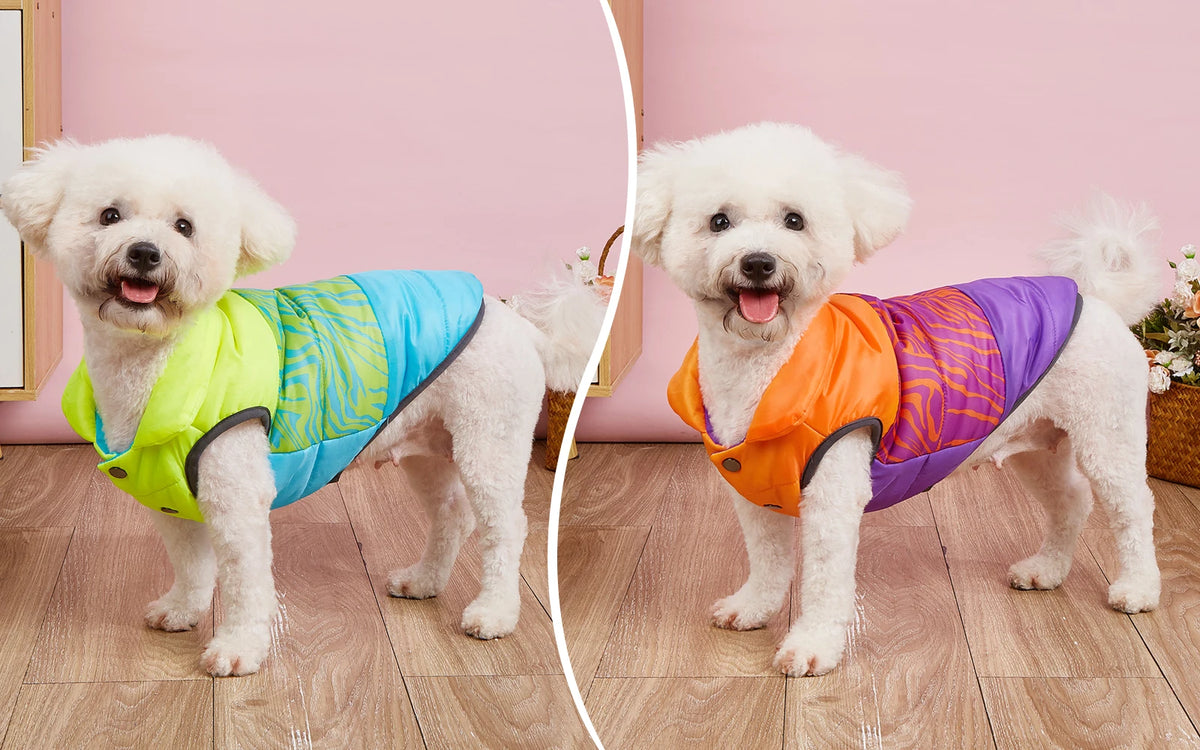 Warm Cotton-Padded Winter Dog Coat – Pet Jacket for Small to Large Dogs