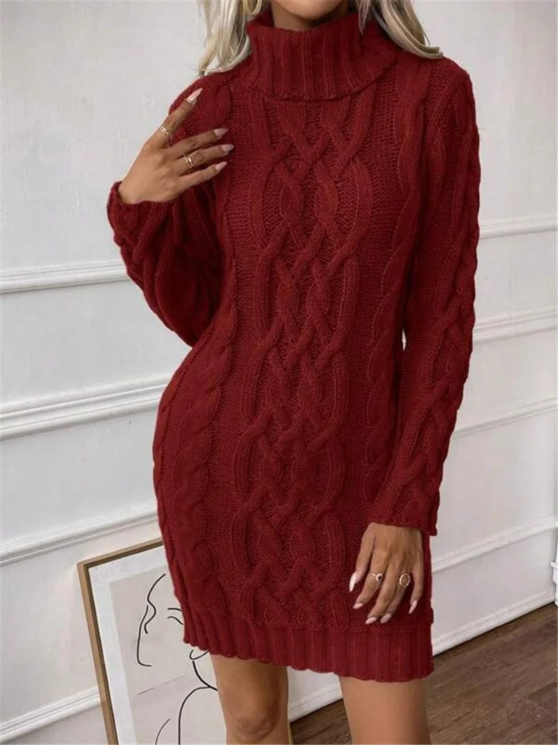 Women's Twisted-Knit Turtleneck Knee-Length Dress