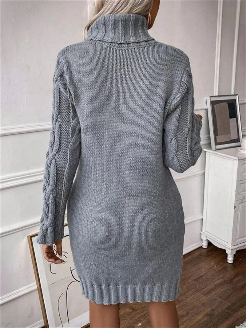Women's Twisted-Knit Turtleneck Knee-Length Dress