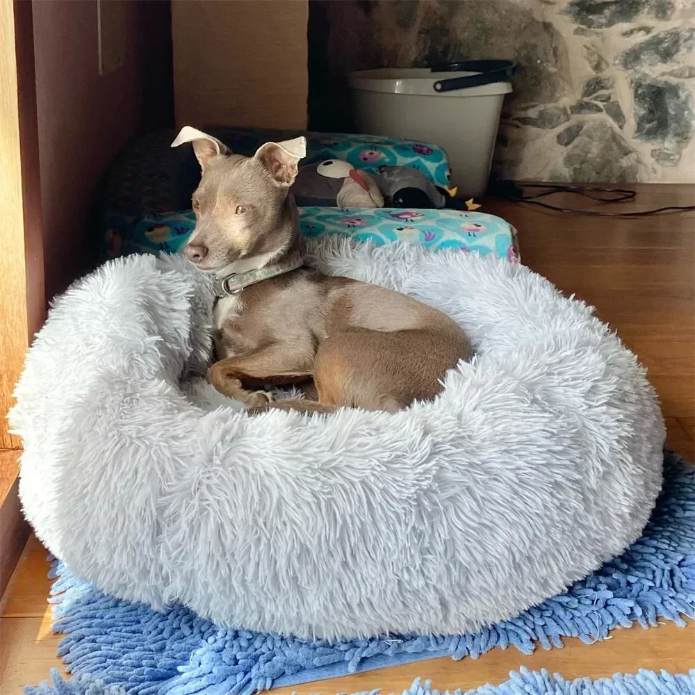 Super Soft Dog Bed Plush Cat Mat Dog Beds For Large Dogs Bed Labradors House Round Cushion Pet Product Accessories