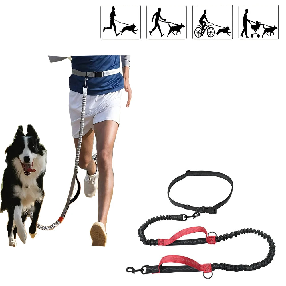Dog Nail Grinder USB Rechargeable Electric Pet Claw Trimmer – Painless, Low Noise, 2-Speed