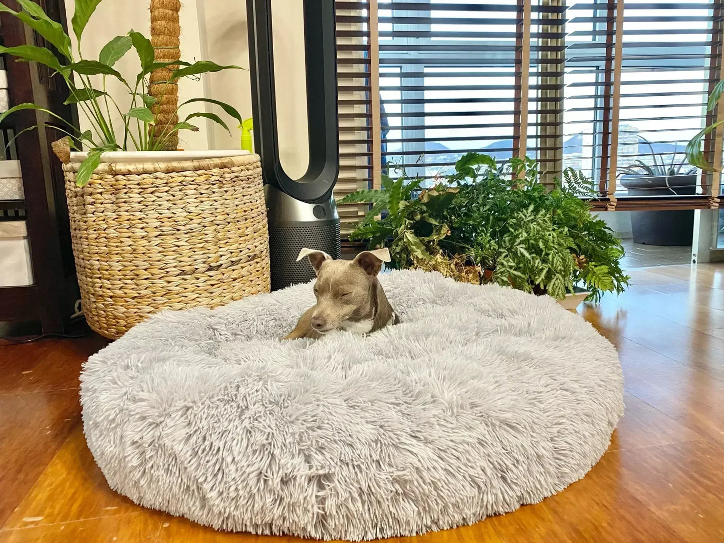 Super Soft Dog Bed Plush Cat Mat Dog Beds For Large Dogs Bed Labradors House Round Cushion Pet Product Accessories