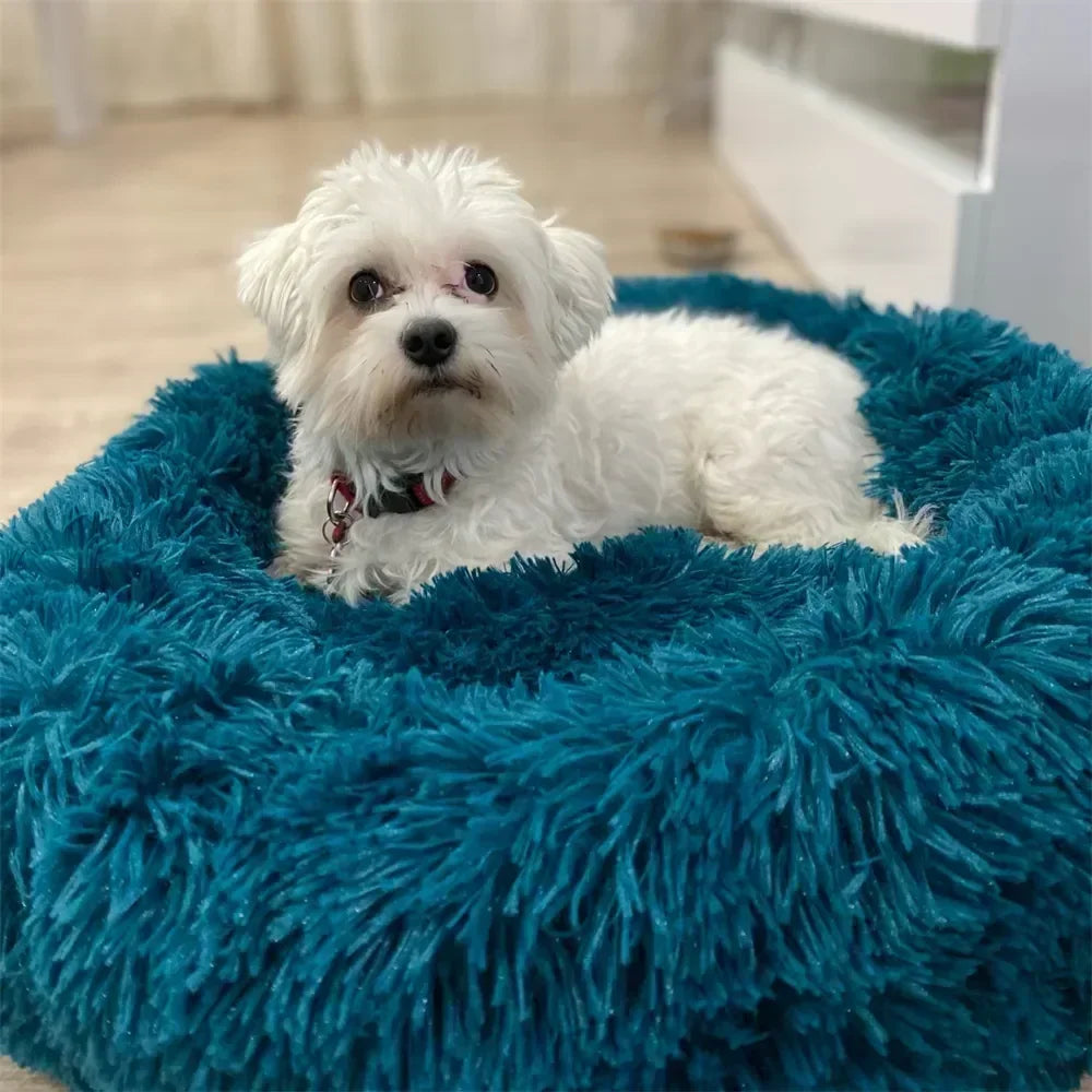 Super Soft Dog Bed Plush Cat Mat Dog Beds For Large Dogs Bed Labradors House Round Cushion Pet Product Accessories