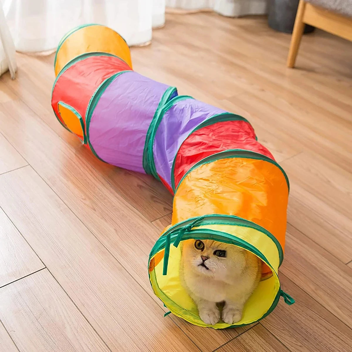Collapsible Cat Tunnel – Crinkle Play Tube for Cats & Kittens