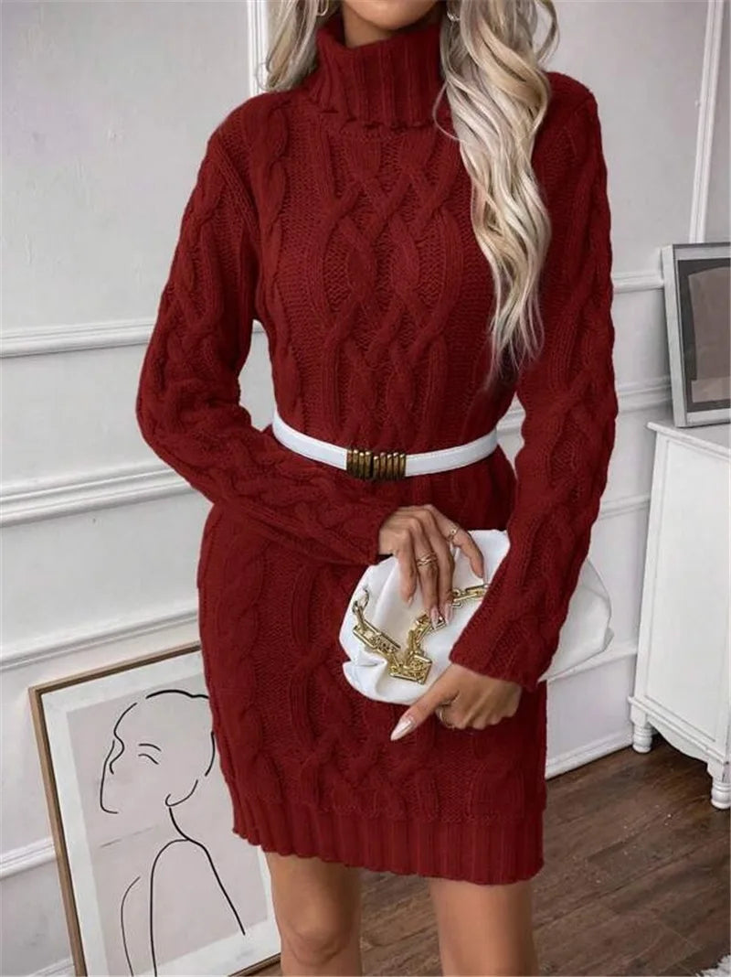 Women's Twisted-Knit Turtleneck Knee-Length Dress