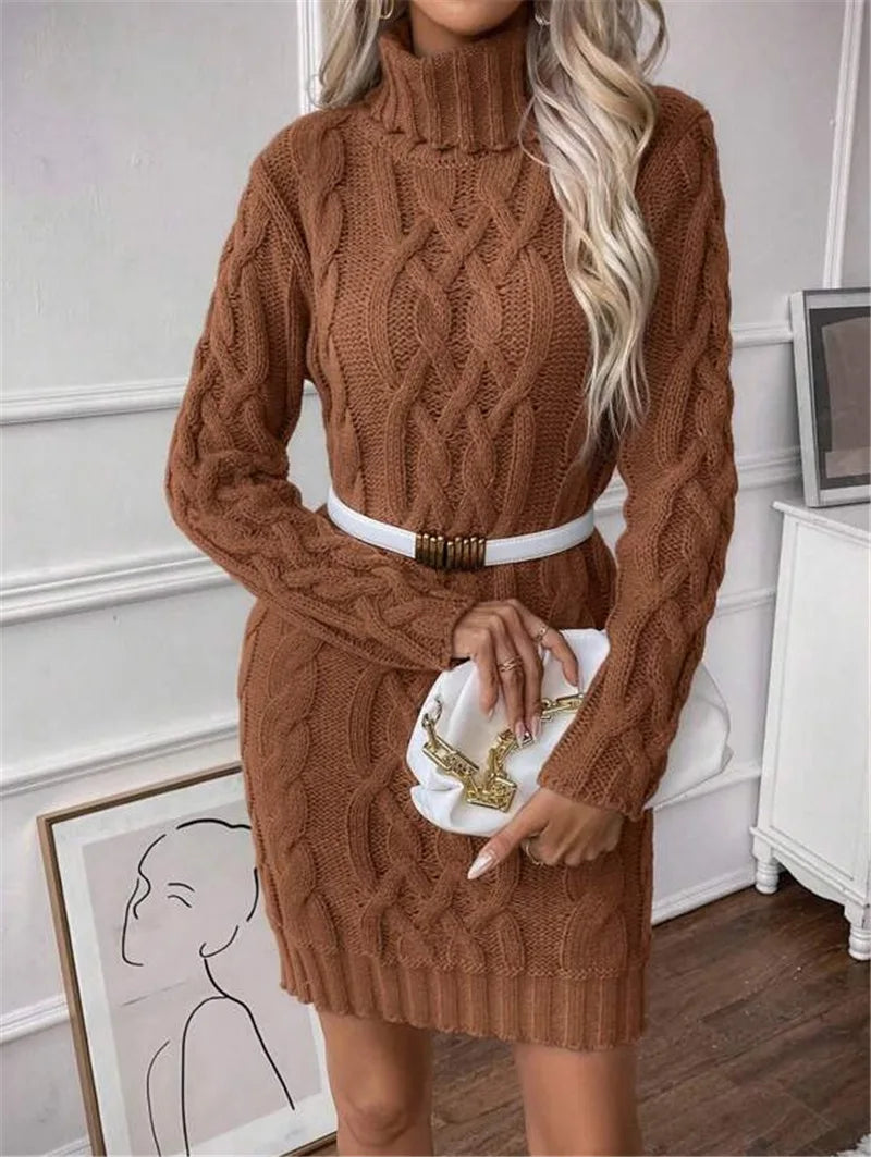 Women's Twisted-Knit Turtleneck Knee-Length Dress